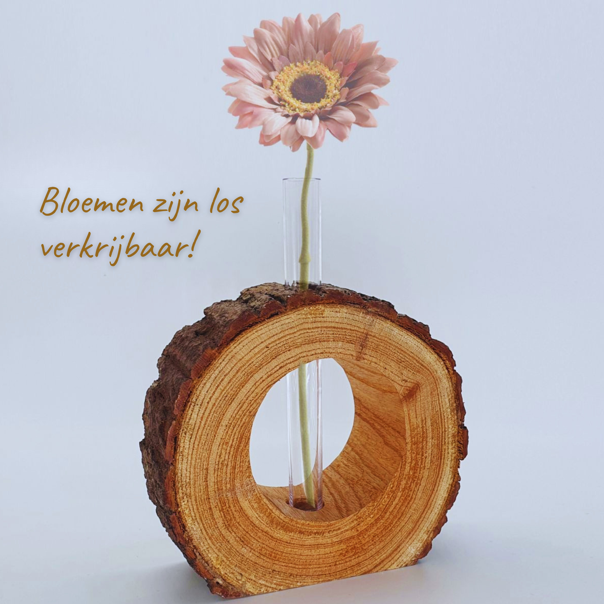 Boomstammetje met reageerbuisje (zonder bloem)