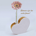Wit Hart met reageerbuisje