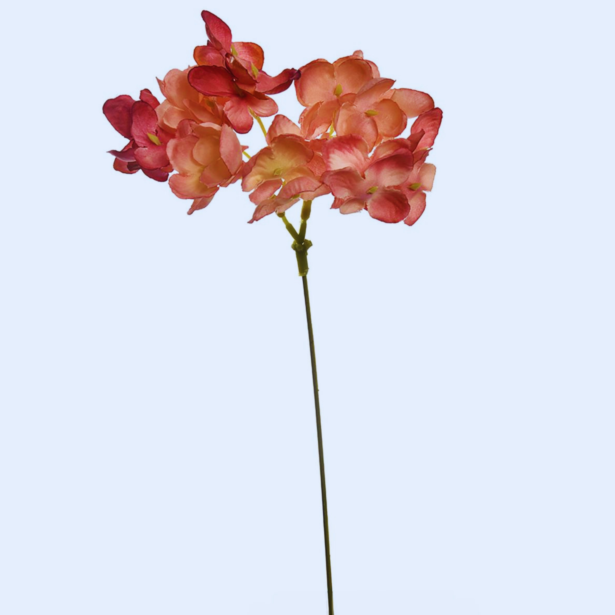 Boomstammetje met reageerbuisje (zonder bloem)