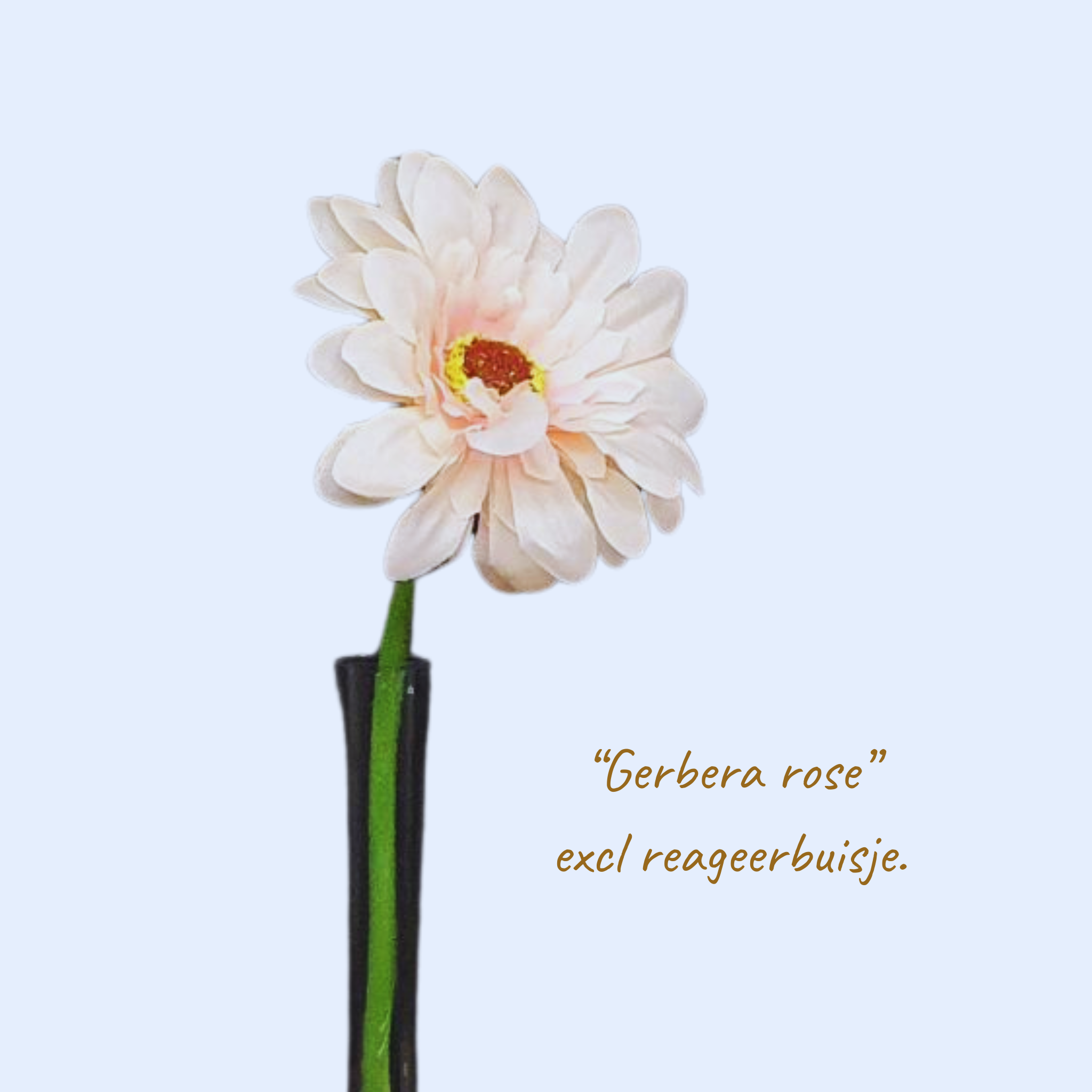 Boomstammetje met reageerbuisje (zonder bloem)