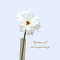 Boomstammetje met reageerbuisje (zonder bloem)